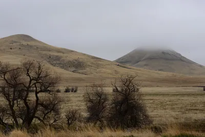 DSC_3142 (Large).JPG